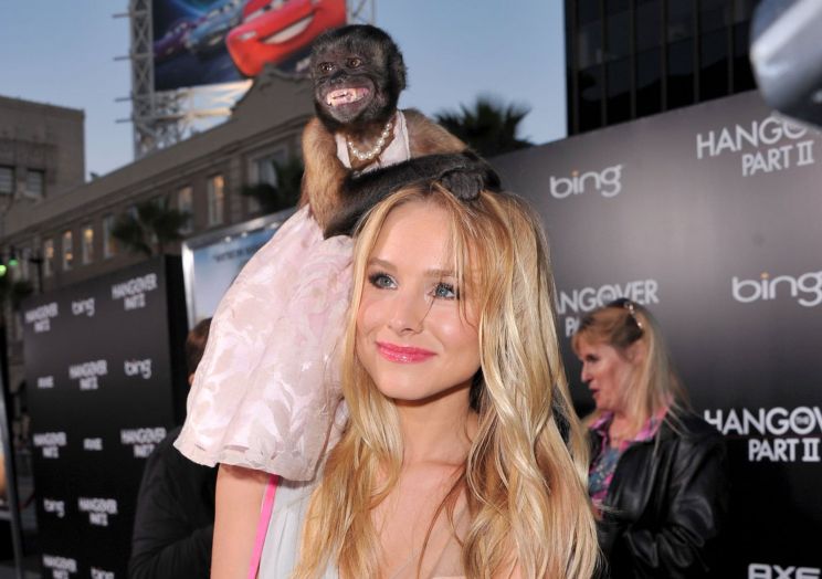 Crystal the Monkey