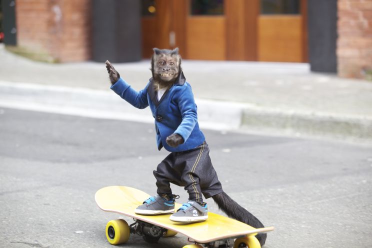 Crystal the Monkey