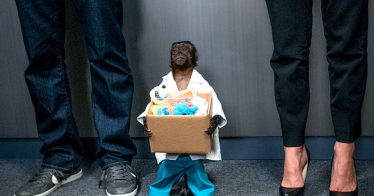 Crystal the Monkey