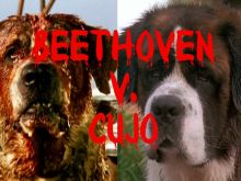 Cujo
