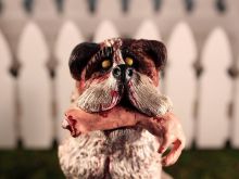 Cujo