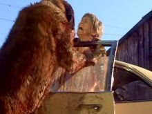 Cujo