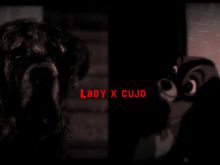 Cujo
