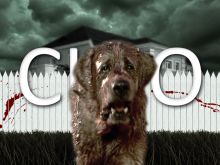 Cujo