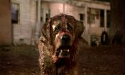 Cujo