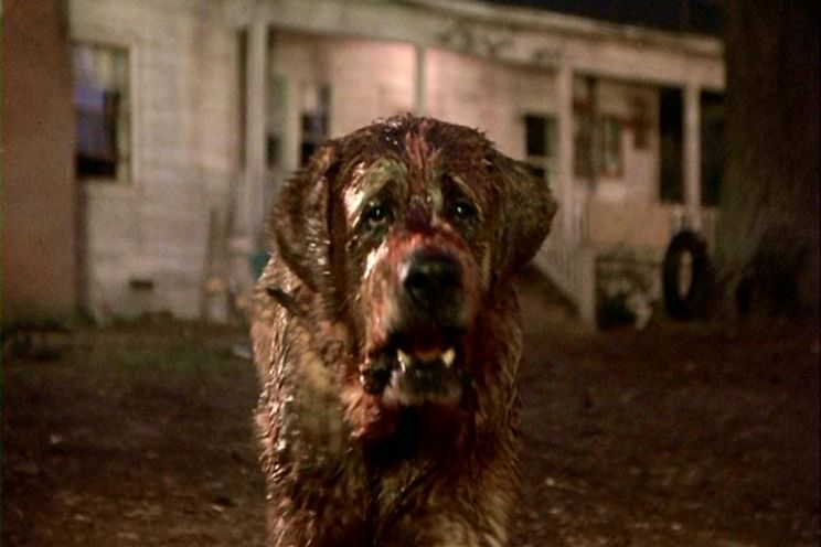 Cujo