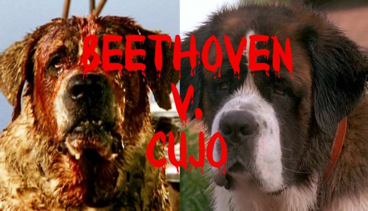 Cujo