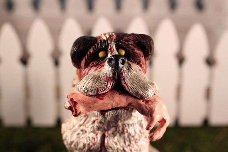 Cujo