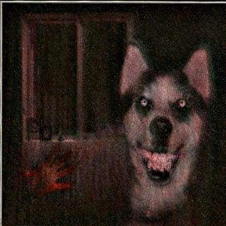 Cujo