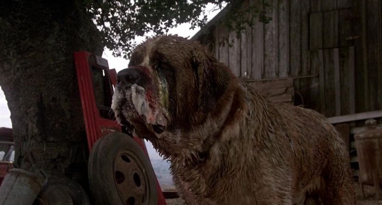 Cujo