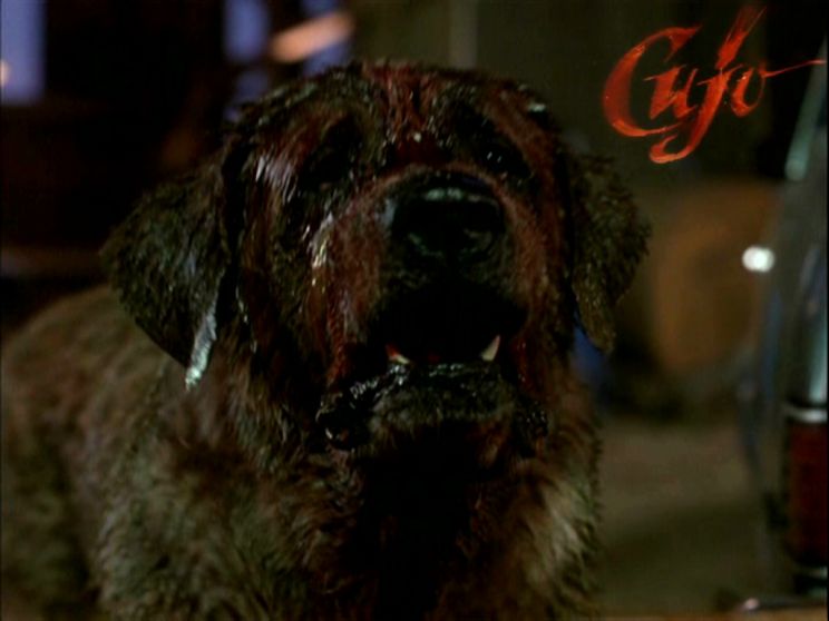 Cujo