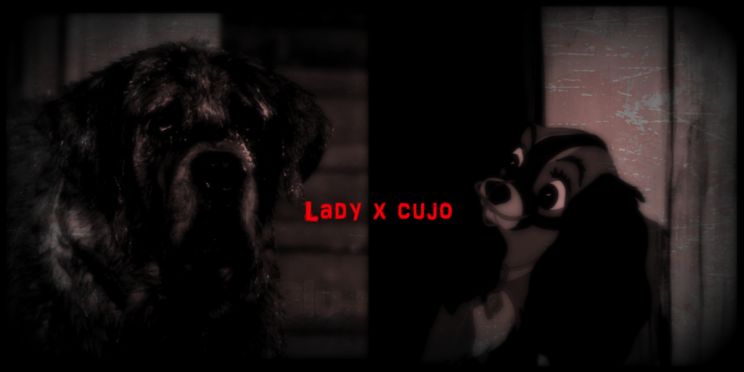 Cujo