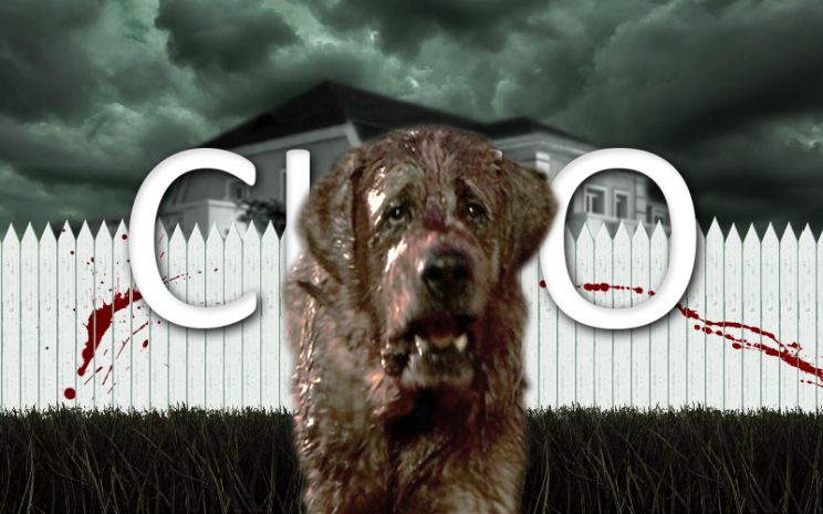 Cujo