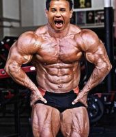 Cung Le