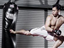 Cung Le