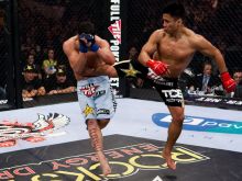 Cung Le