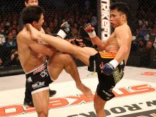 Cung Le