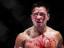 Cung Le