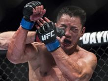 Cung Le