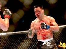 Cung Le