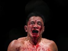 Cung Le