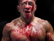 Cung Le