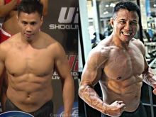 Cung Le