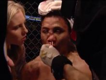 Cung Le