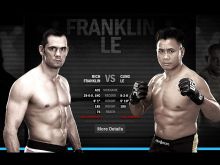 Cung Le