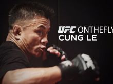 Cung Le