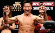 Cung Le