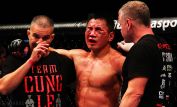 Cung Le