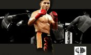 Cung Le