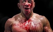 Cung Le