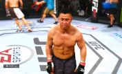 Cung Le