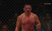 Cung Le