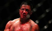 Cung Le