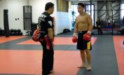 Cung Le