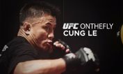 Cung Le