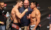 Cung Le