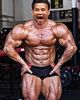 Cung Le