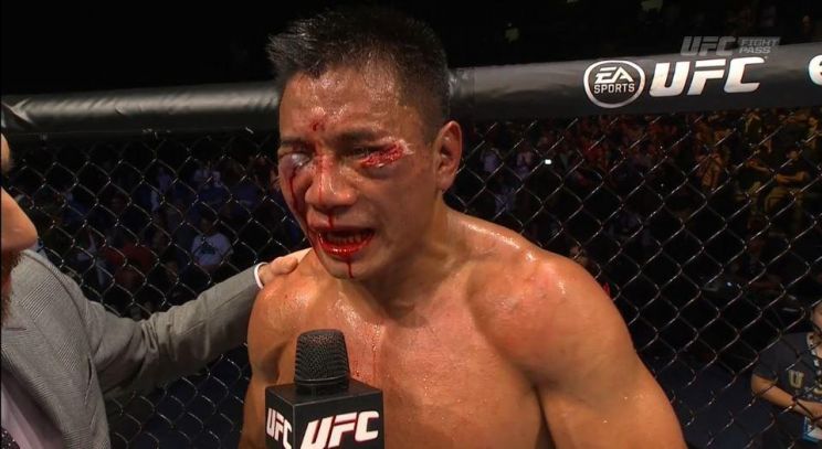 Cung Le