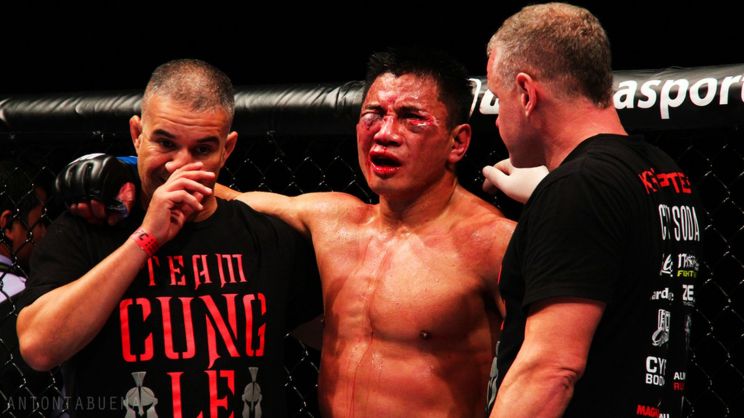 Cung Le