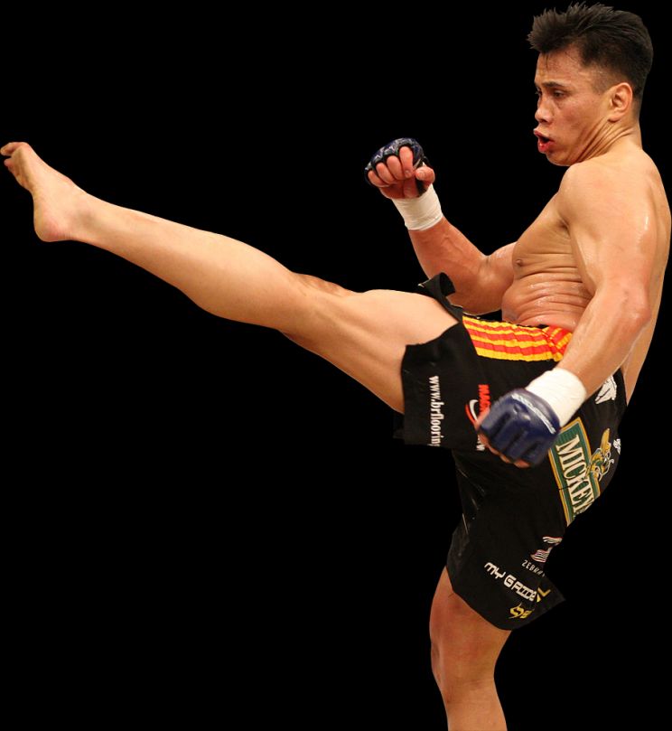 Cung Le