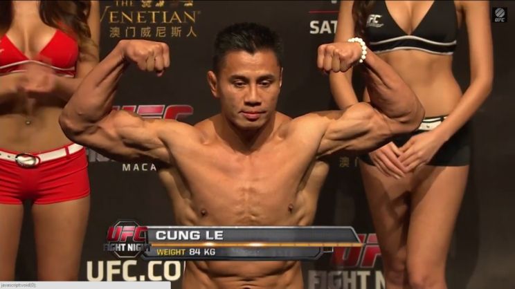 Cung Le