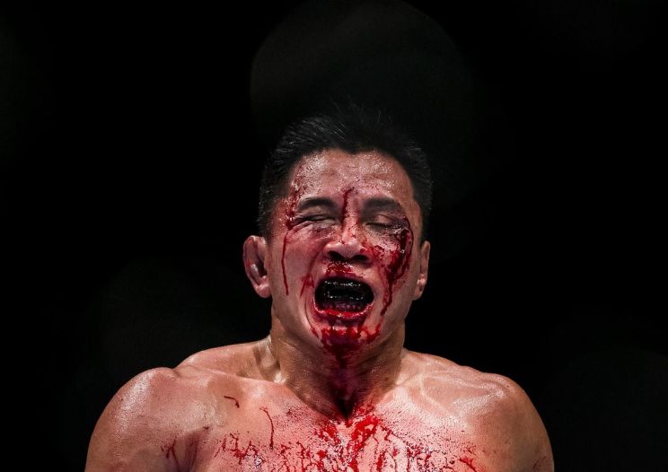 Cung Le