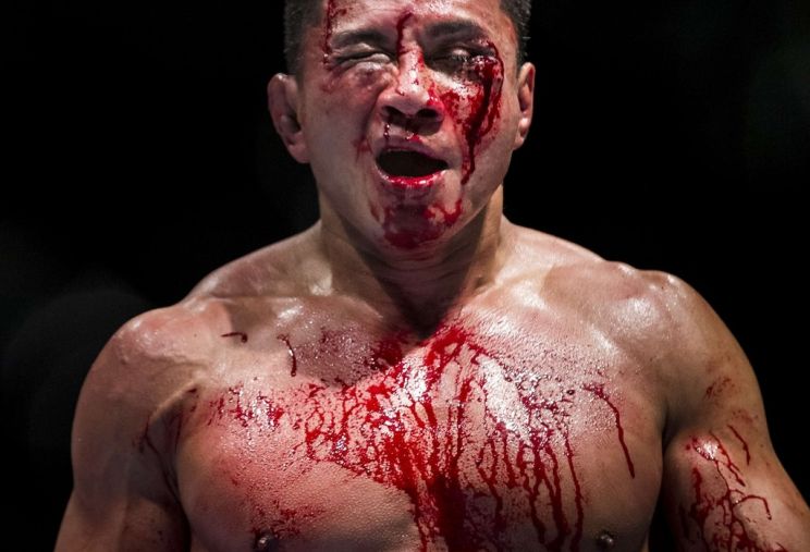 Cung Le