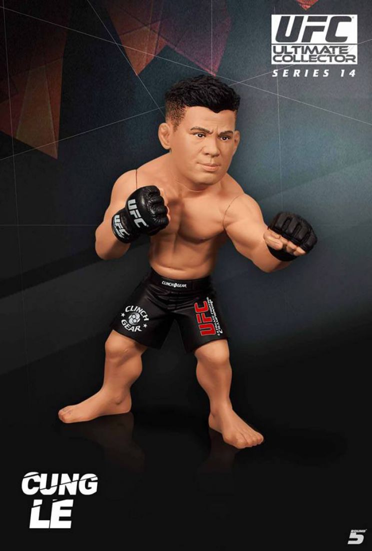 Cung Le