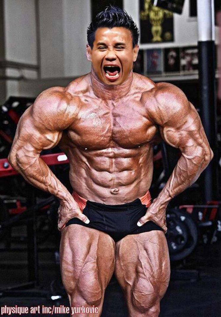 Cung Le