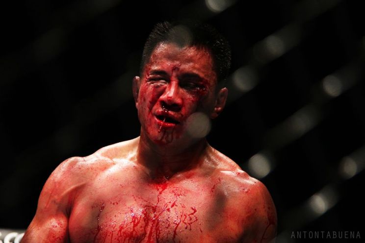 Cung Le